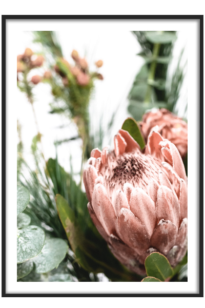 Постер  Протея