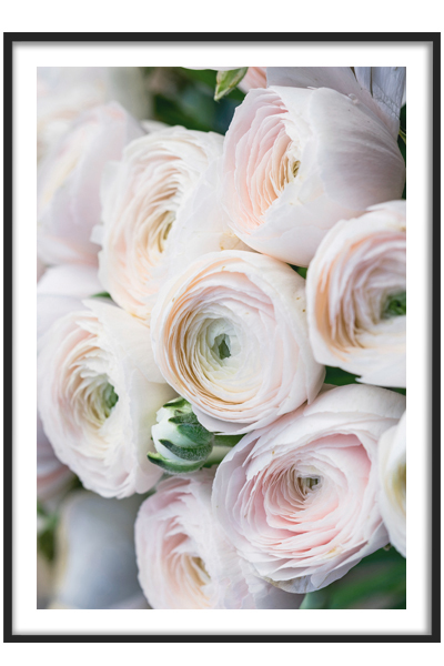 Постер  Нежный букет