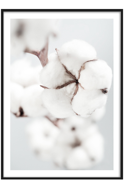 Постер  Хлопок №1