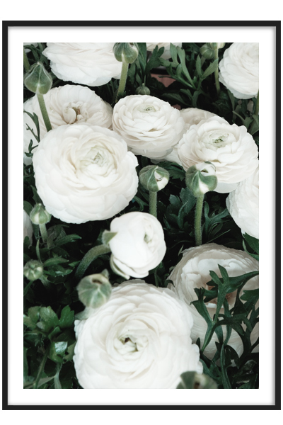 Постер Белый букет