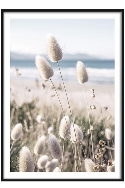 Постер Прибрежная трава