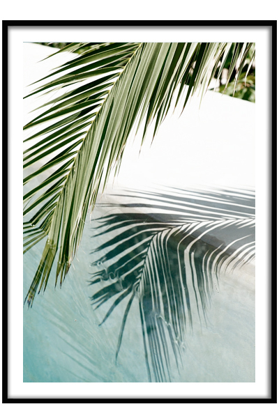 Постер Лист пальмы