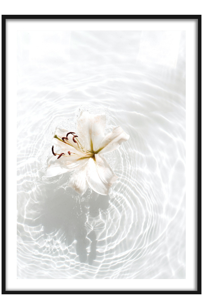 Постер Лилия