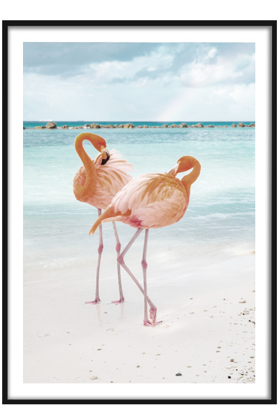 Постер Фламинго