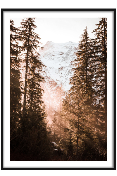 Постер Солнечный осенний лес