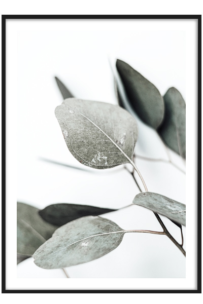 Постер Веточка