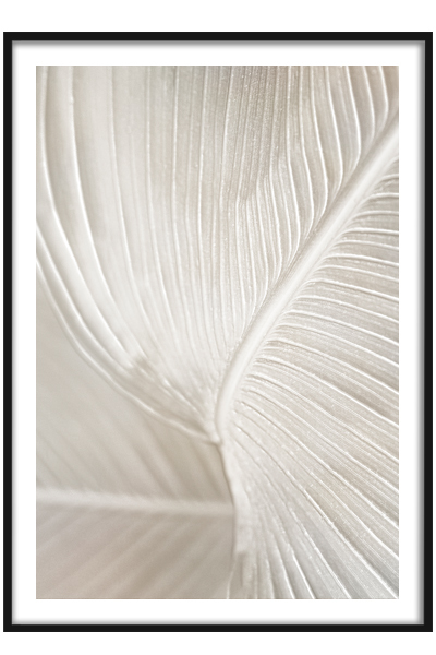 Постер  Бежевый лист