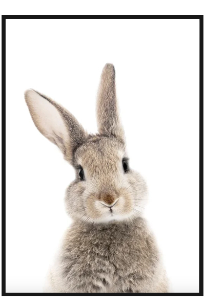 Постер Зайка