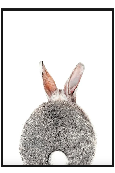 Постер Зайка 2