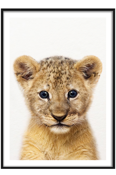 Постер Львенок