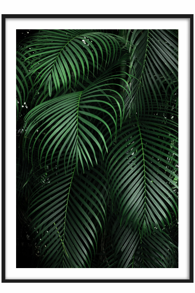Постер Тропические листья #2