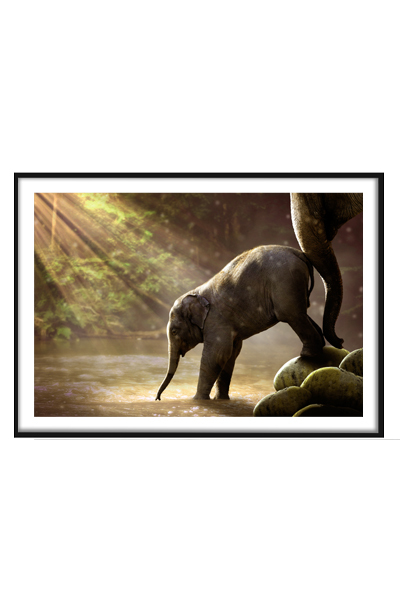 Постер Слоненок у водопоя