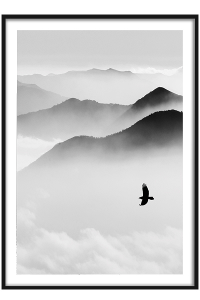 Постер Птица в туманных вершинах