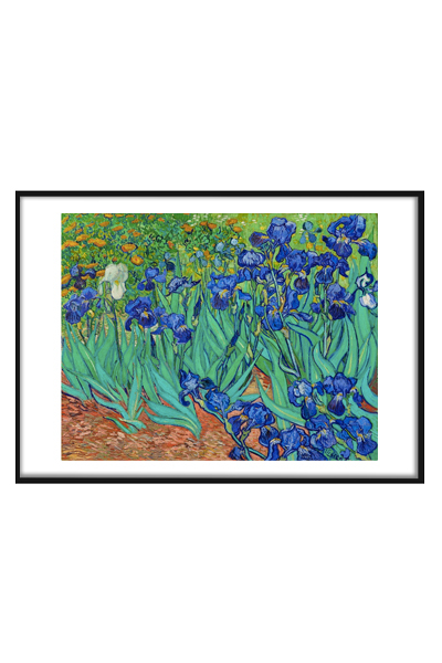 Постер   Irises (1889) by Vincent Van Gogh