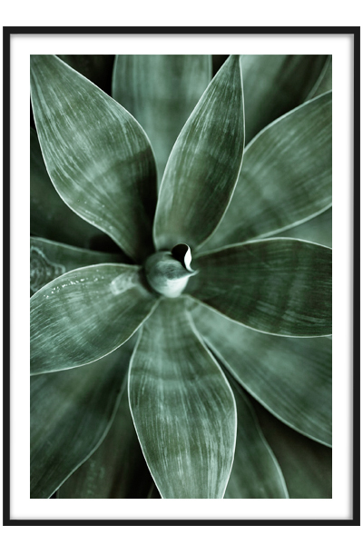 Постер АГАВА