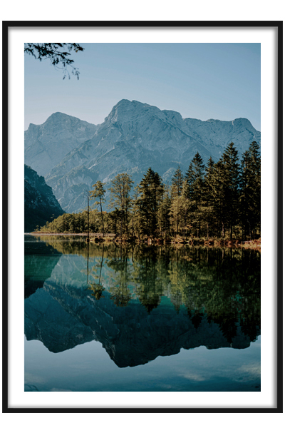 Постер  ЛЕСНОЙ ПОЛУОСТРОВ