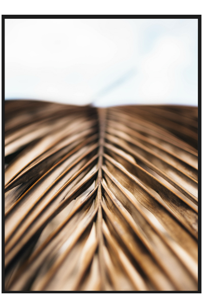 Постер  Пальмовый лист