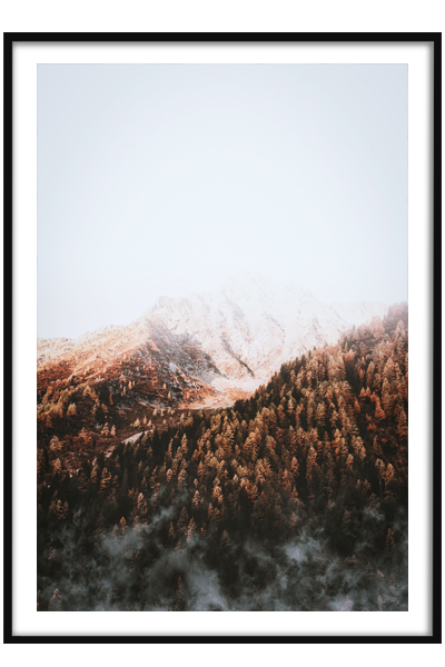 Постер  Лесной склон