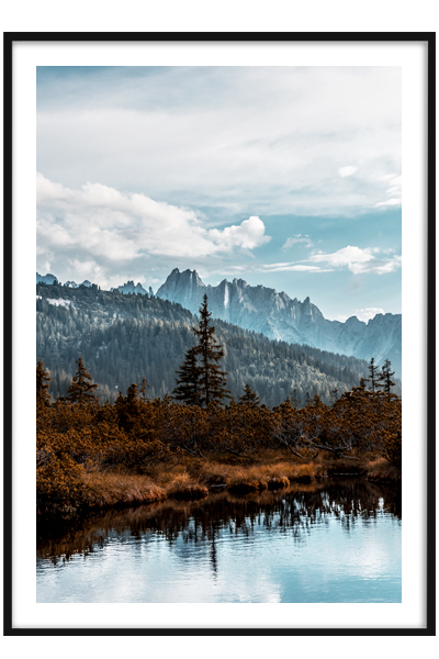 Постер  Ель на берегу