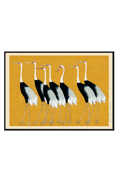 Постер Журавли шагают