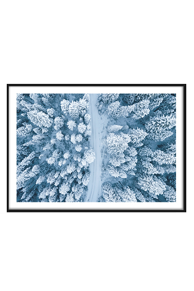 Постер Сквозь морозный лес