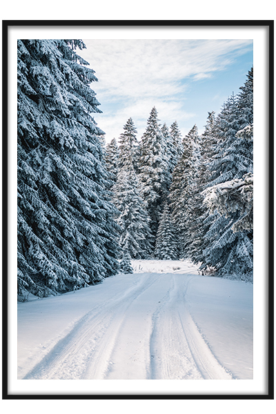 Постер Снежный путь