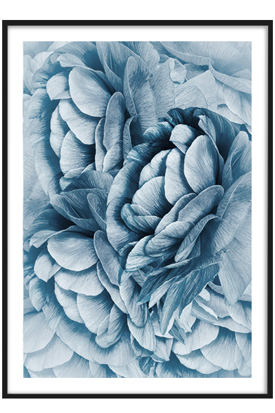 Постер Ледяные цветы