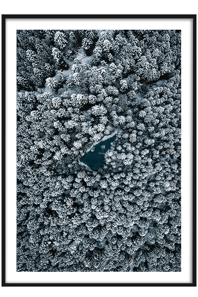 Постер Зимний лес