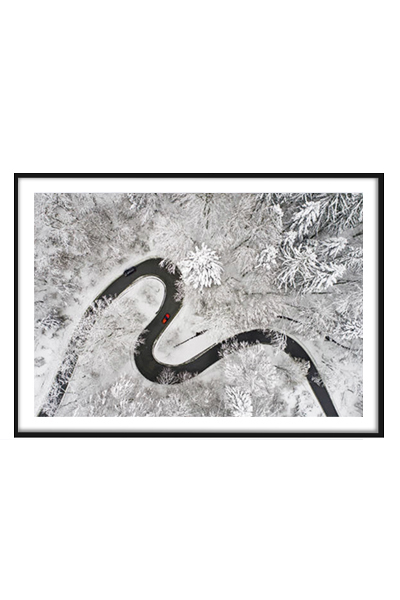 Постер В зимнем лесу