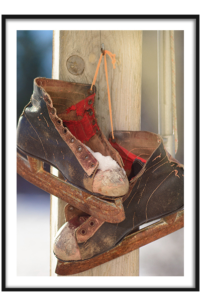 Постер Коньки