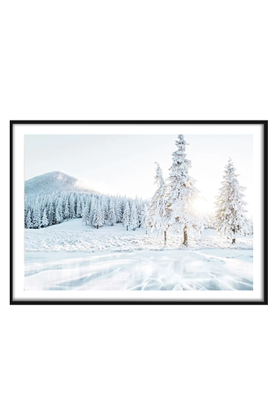 Постер ЗАСНЕЖЕННЫЕ ЕЛКИ