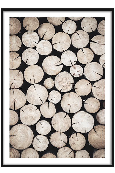 Постер Дровница