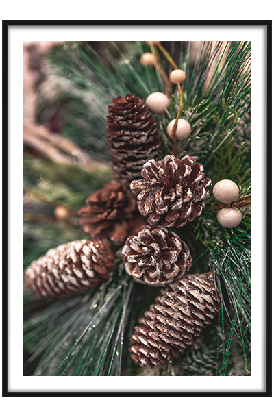 Постер  Шишки