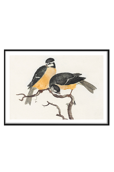 Постер Желтые птицы на ветке