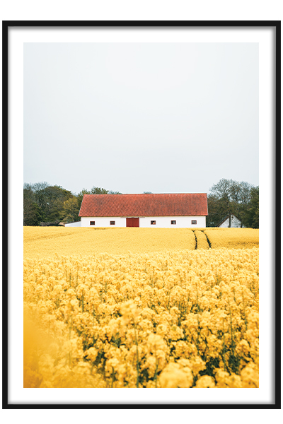 Постер   Домик в поле