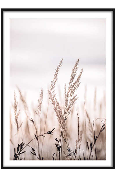 Постер Травинки в поле