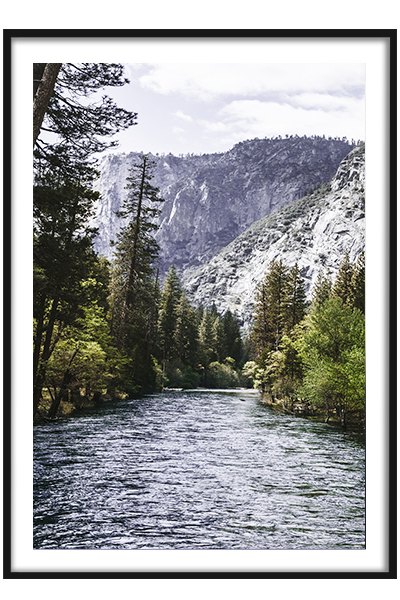 Постер Лесная река