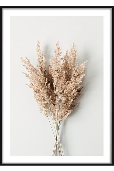 Постер Сухоцветы №2