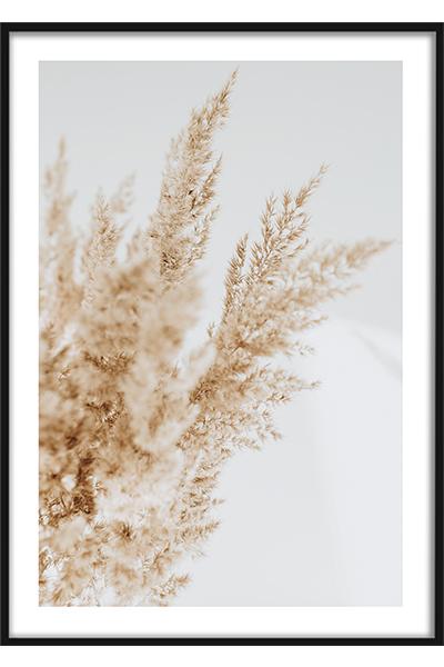 Постер Сухоцветы №3