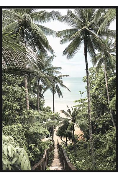 Постер Тропический мост