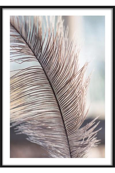 Постер Перо