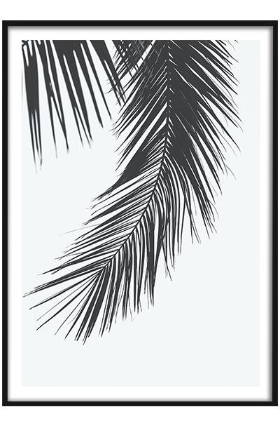 Постер Пальмовая ветвь