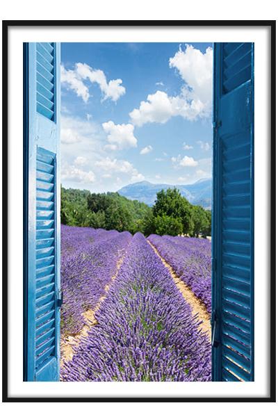 Постер Вид из окна на лавандовое поле