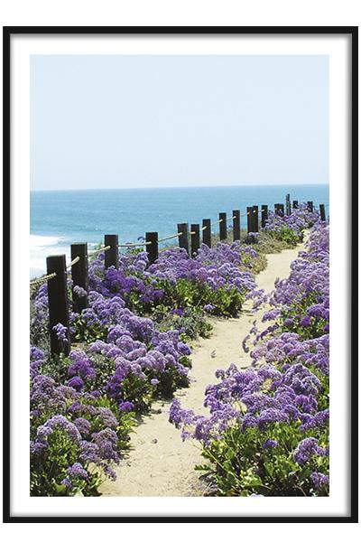 Постер Лавандовый мыс