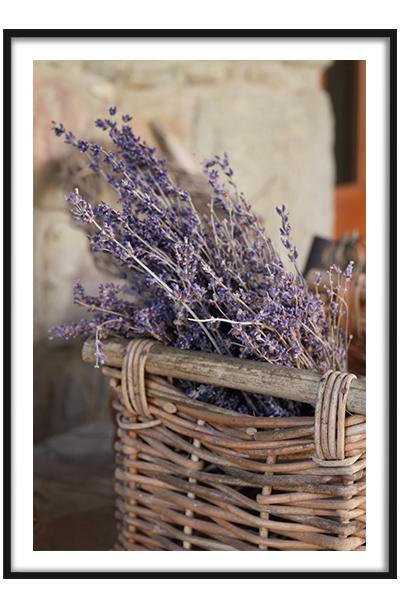 Постер Лаванда в корзине