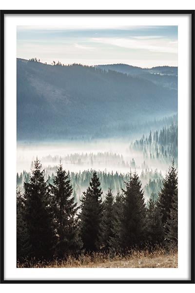 Постер ЛЕСНАЯ ДОЛИНА