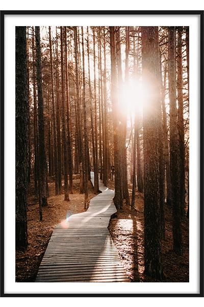 Постер ДОРОГА В ЛЕСУ