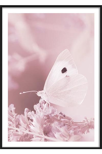 Постер БАБОЧКА