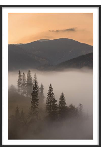 Постер ЛЕС В ТУМАНЕ