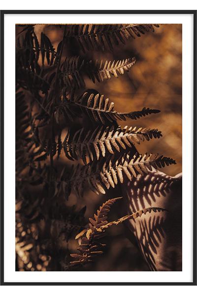 Постер ПАПОРТНИК